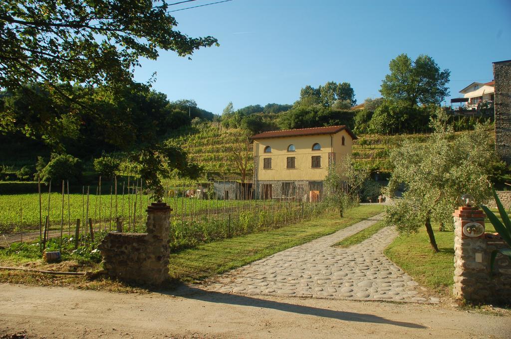 Agriturismo Il Poderetto Licciana Nardi Exteriör bild